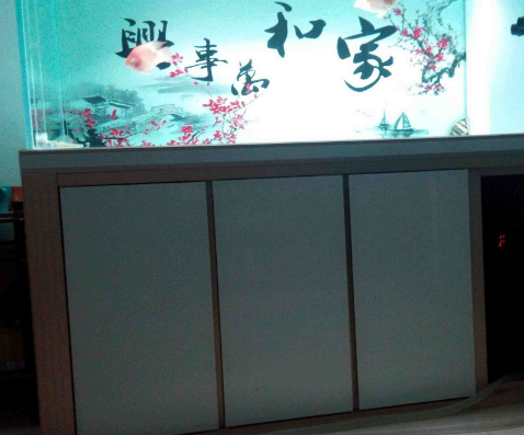 QQ图片20180925141944.png 掌握好龙鱼换水要点 远离龙鱼常见疾病